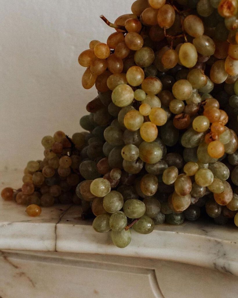 Grapes